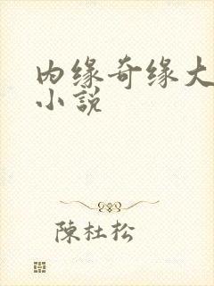 内缘奇缘大团圆小说封面