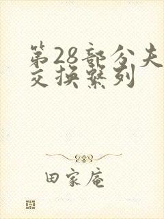 第28部分夫妇交换系列