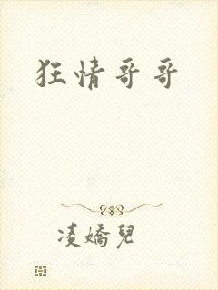 狂情哥哥封面