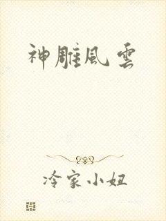 神雕风云