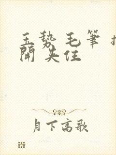 玉势 毛笔 撑开 夹住封面