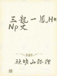 三龙一凤H啪肉Np文