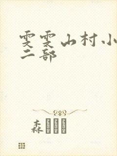 雯雯山村小说第二部封面