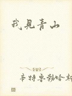 我见青山