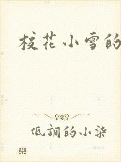 校花小雪的小说封面