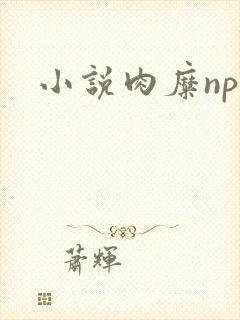 小说肉糜np