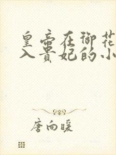 皇帝在御花园进入贵妃的小说