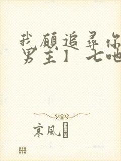 我愿追寻你【双男主】 七吔