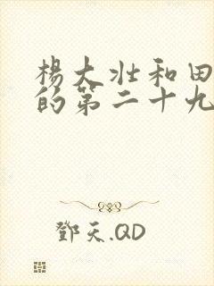 杨大壮和田桂花的第二十九