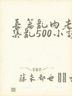 长篇乱肉老师合集乱500小说