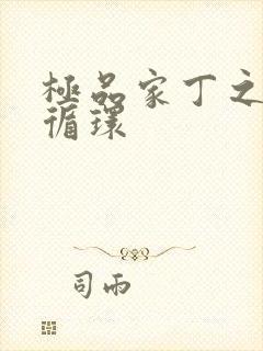 极品家丁之因果循环