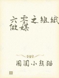 六零之组织给我做媒