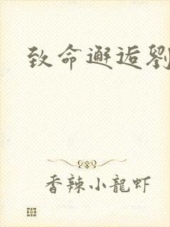 致命邂逅刘小寐