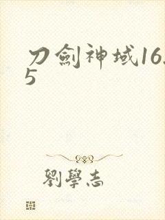 刀剑神域16.5