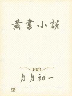 黄书小说