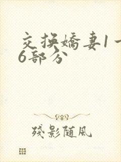 交换娇妻1一36部分