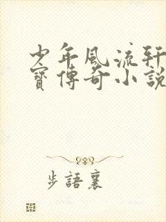 少年风流轩辕大宝传奇小说