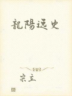 龙阳逸史封面