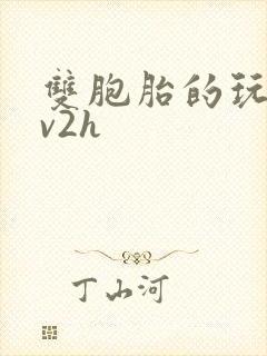 双胞胎的玩具1v2h封面