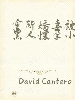 会所娇妻被多个黑人怀孕小说