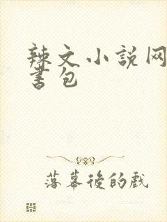 辣文小说网第二书包封面