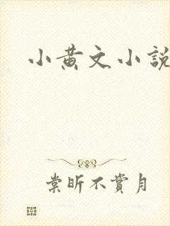 小黄文小说