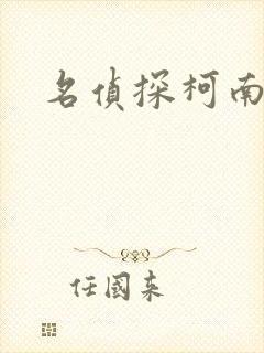 名侦探柯南h封面