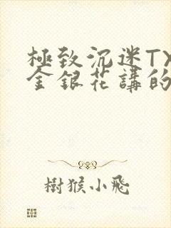 极致沉迷TXL金银花讲的什么