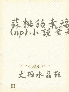 苏桃的幸福生活(np)小说笔趣阁沐沐