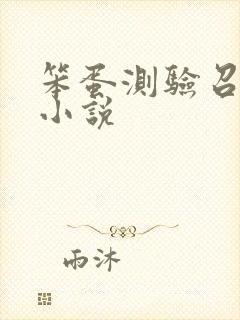 笨蛋测验召唤兽小说封面