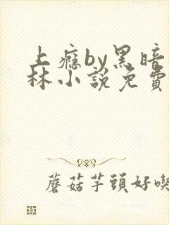 上瘾by黑暗森林小说免费封面