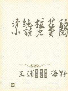 清纯校花的秘密小说免费阅读