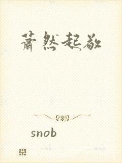 萧然起敬封面