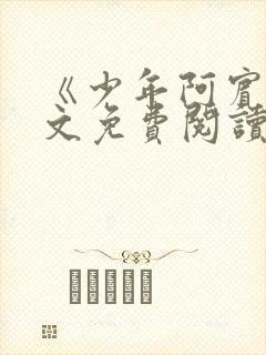 《少年阿宾》全文免费阅读