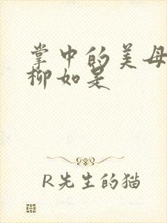 掌中的美母版主柳如是