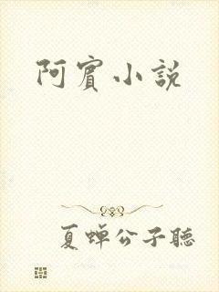 阿宾小说