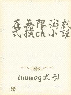 在无限游戏里花式挨ch小说封面