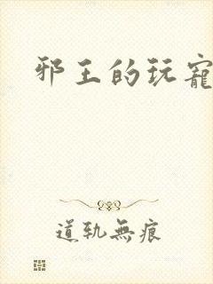 邪王的玩宠封面