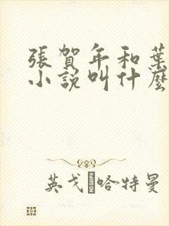 张贺年和叶繁姿小说叫什么名字封面