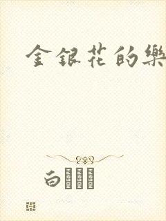 金银花的乐可封面