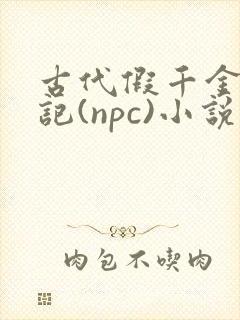 古代假千金挨日记(npc)小说封面