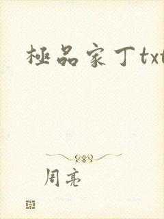 极品家丁txt