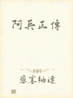 阿兵正传封面