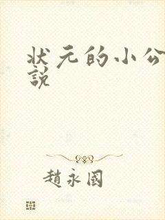 状元的小公主小说