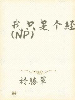 我只是个经纪人(NP)