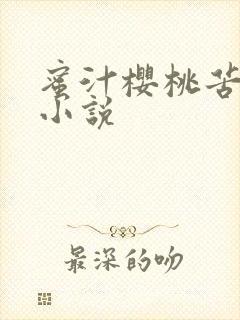 蜜汁樱桃苦咖啡小说封面