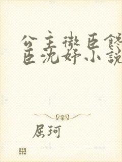 公主微臣馋了微臣沈妤小说