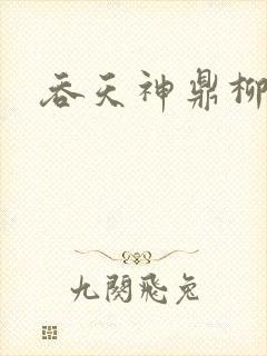 吞天神鼎柳无邪