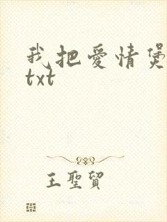 我把爱情煲成汤txt封面
