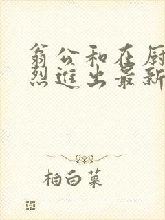 翁公和在厨房猛烈进出最新章节